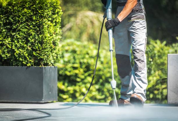 Animal Enclosure Cleaning in Chauvin, LA